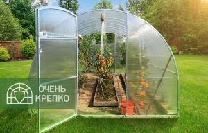 Как выбрать теплицу из поликарбоната