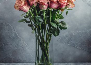 Как продлить жизнь букету: простые и эффективные советы