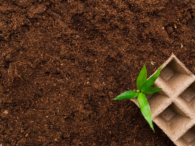 Чем отличается растительный грунт от чернозема, торфа и плодородной почвы