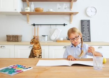 Как эффективно использовать решебники для самостоятельного обучения