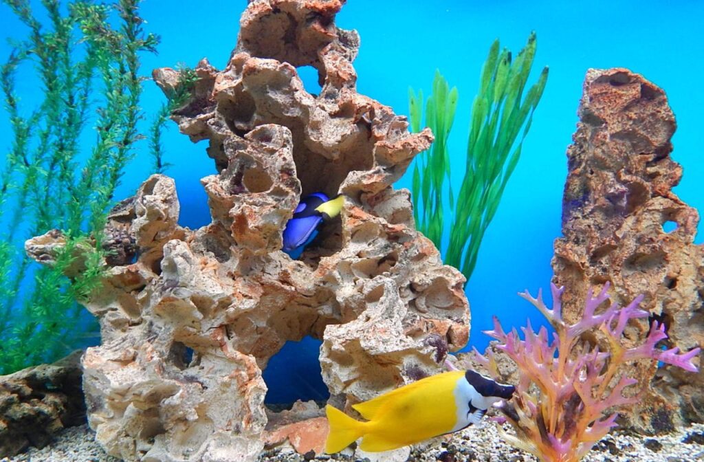 Почему важно вовремя проводить обслуживание аквариумов