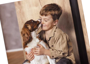 Этапы печати цветных фотографий