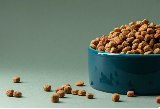Сухой или влажный корм для питомца: как сделать правильный выбор