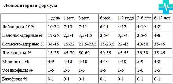 Что такое PLT в анализе крови: норма для детей и расшифровка результатов