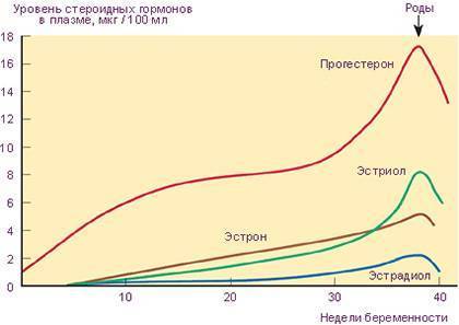 Циклодинон: инструкция по применению, показания к приему и побочные эффекты