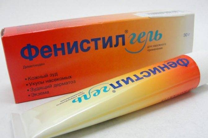 Симптомы аллергии на собак, особенности лечения грудничков и детей старшего возраста