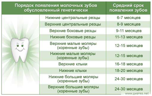 “Камистад Беби”: состав геля и инструкция по применению для детей до 1 года
