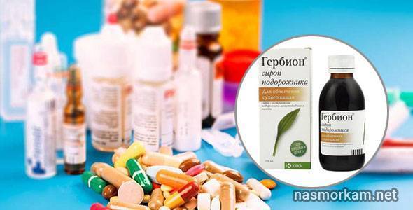 Гербион от сухого и влажного кашля для детей - инструкция по применению сиропа