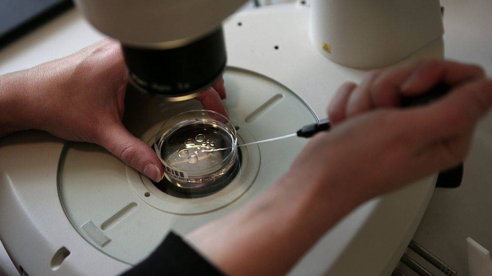 Подсадка эмбрионов по ЭКО: как происходит перенос в матку, на какой день цикла делают, каковы шансы?