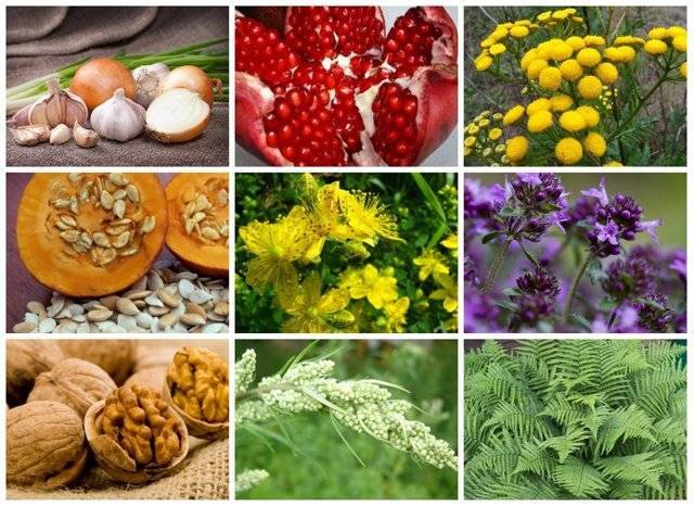 Глисты при беременности: признаки, лечение, профилактика / mama66.ru