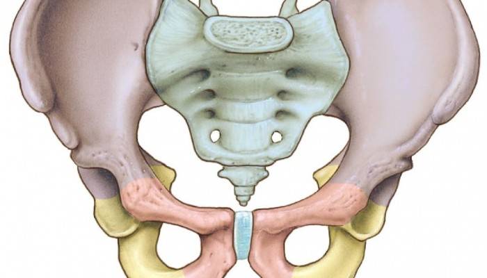 Болит промежность при беременности: почему возникает боль между ног на ранних и поздних сроках?