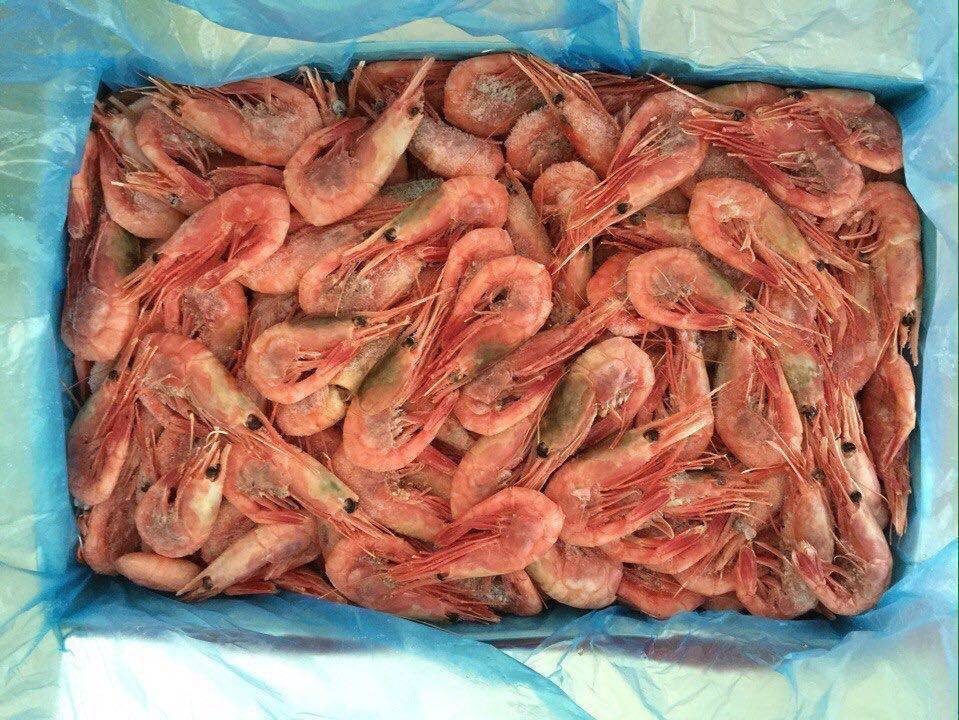 Креветки при беременности: можно ли на ранних и поздних сроках, как правильно употреблять в пищу?