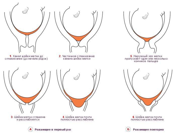 Четвертая беременность: особенности ее течения, как проходят роды