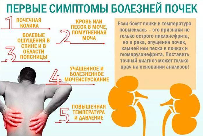 Гипоплазия почки у ребенка: причины, симптомы и лечение