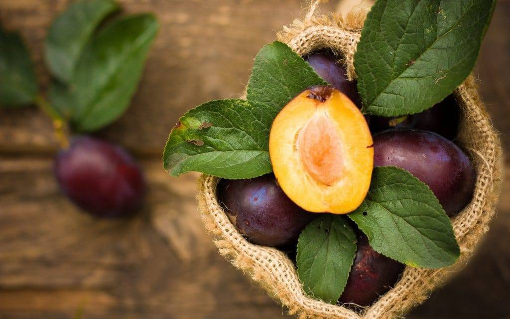 Ребенок проглотил косточку от сливы, финика, чернослива, вишни - что делать?