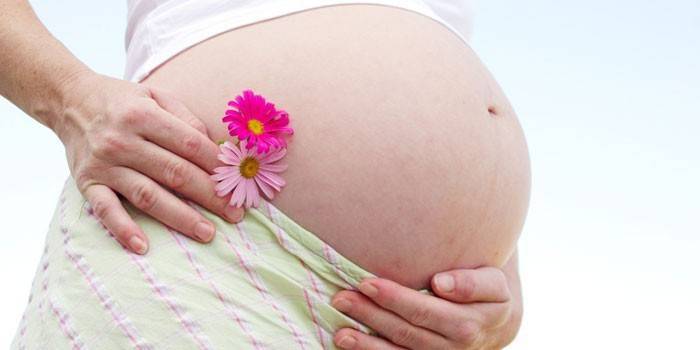 Гербион от сухого и влажного кашля для детей - инструкция по применению сиропа