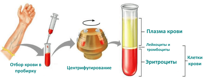Гематокрит понижен при беременности: причины, нормы в разных триместрах