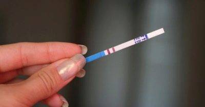 УЗИ на овуляцию: когда делать, как проходит процедура, что можно определить по фото?