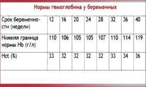 Норма гемоглобина у беременных: какой она должна быть в 1, 2 и 3 триместрах?