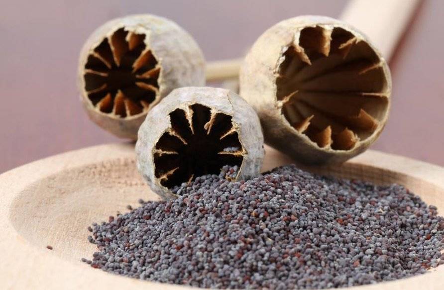 Шоколад при грудном вскармливании ????: можно ли кормящей маме, когда?