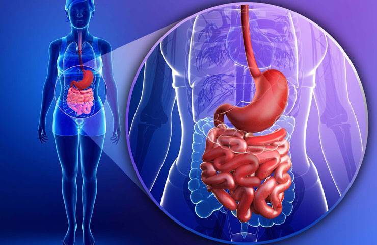 Неприятные ощущения внизу живота у женщин: о чем они говорят, как от них избавиться?