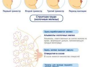 Грудное вскармливание после кесарева сечения: когда приходит молоко?