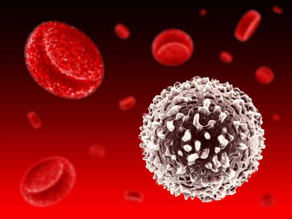 Эозинофилы у ребенка повышены или понижены: нормы крови, причины отклонений