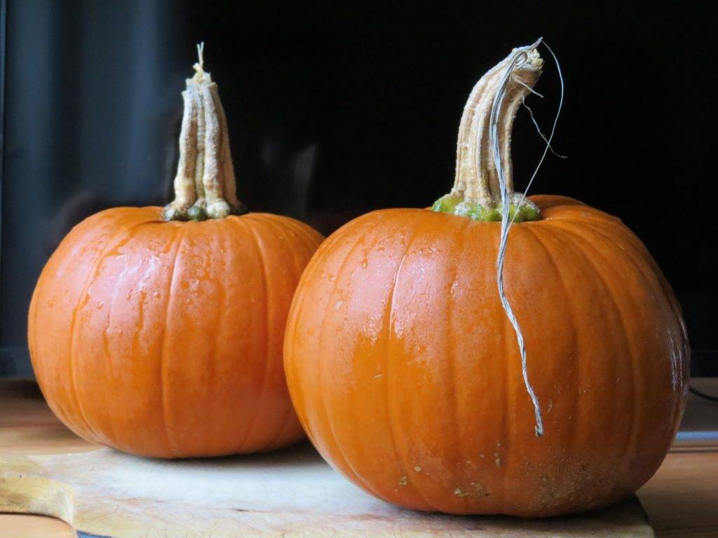 Рецепт пюре из тыквы для грудничка: сколько варить для прикорма и детям до года?