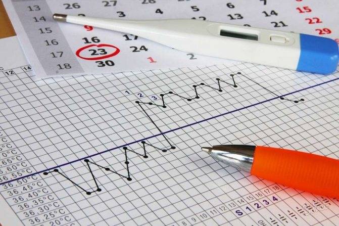 Ректальная температура при беременности на ранних и поздних сроках: норма, причины отклонения