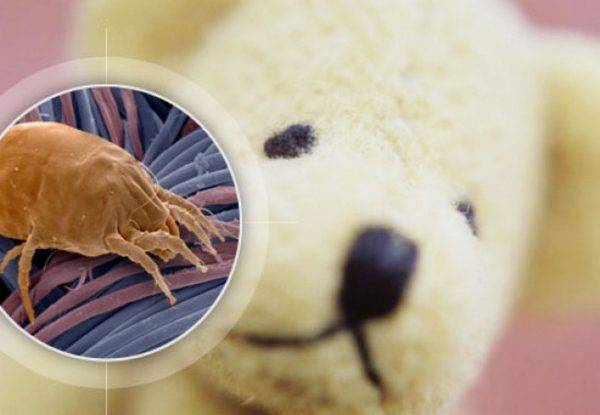 Как стирать мягкие игрушки в стиральной машине автомат, вручную и иными способами?