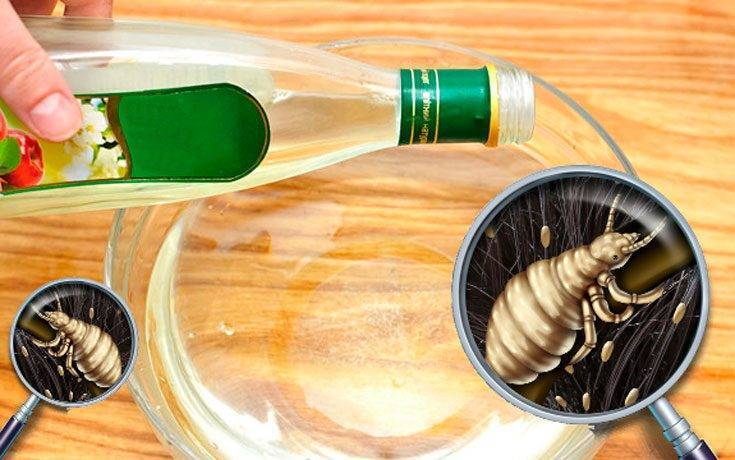 Средство от вшей и гнид для детей за один день: шампуни и лучшие препараты от педикулеза