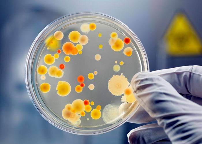 Стоматит в горле у ребенка (с фото): способы лечения язвочек на миндалинах