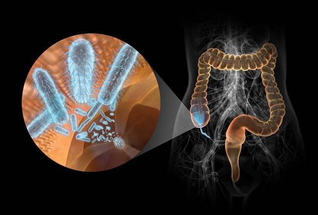 У ребенка болит живот и рвота без температуры: что делать, как помочь малышу?