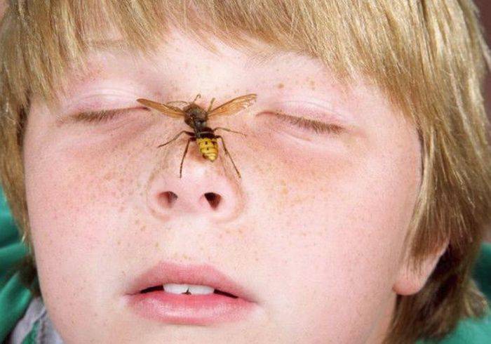 Воспалился глаз у ребенка - что делать и как лечить в домашних условиях?