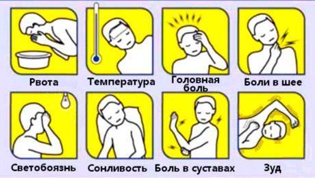 Менингококковая инфекция у детей: симптомы и лечение, профилактика, фото сыпи