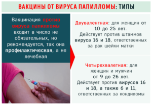Прививка от вируса папилломы человека – аргументы за и против вакцинации ребенка