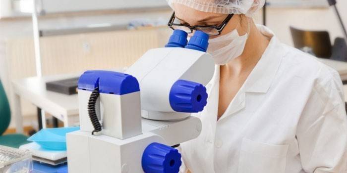 Как правильно подготовиться и сдать анализ крови и кала на лямблии у ребенка?