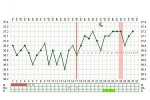 Ректальная температура при беременности на ранних и поздних сроках: норма, причины отклонения