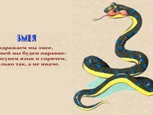 Логопедические упражнения для детей 5-6 лет дома: занятия, игры для развития речи