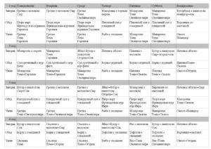 Меню на каждый день для ребенка 4-5 лет с рецептами на неделю (таблица)