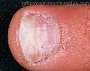 Во сколько лет лучше отдавать ребенка в школу, можно ли в 6: советы и рекомендации психолога