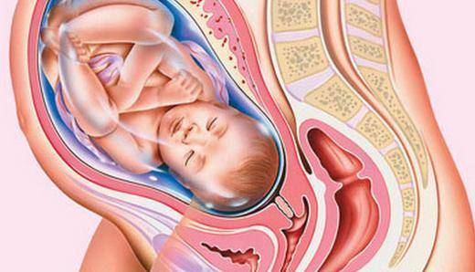 Пиелоэктазия почек у ребенка (двусторонняя, правого или левого органа) - что это такое?