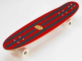 Пенни борд: 10 фото и простые способы научиться кататься