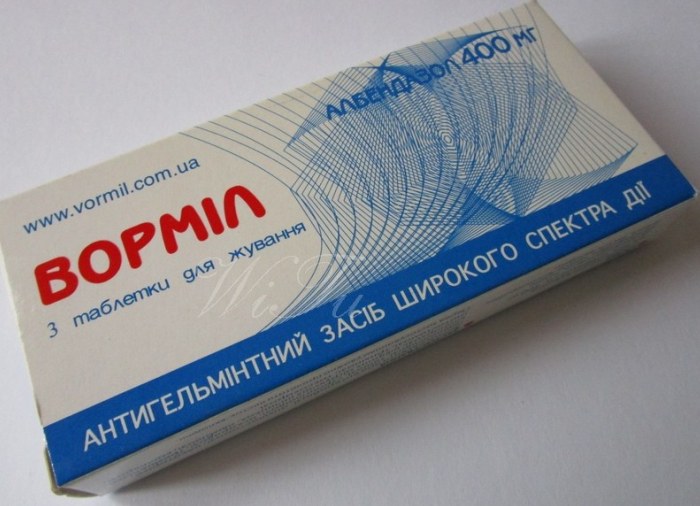 Глисты при беременности: что делать и как лечить беременную женщину, как влияют паразиты на плод?