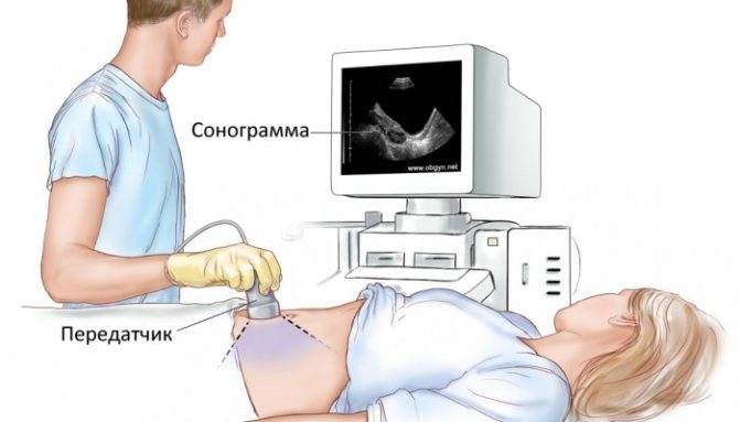 Тонкий эндометрий и беременность: вероятность зачатия и вынашивания ребенка, норма толщины в цикле
