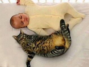 Пеленочный дерматит у детей: симптомы с фото и лечение по Комаровскому