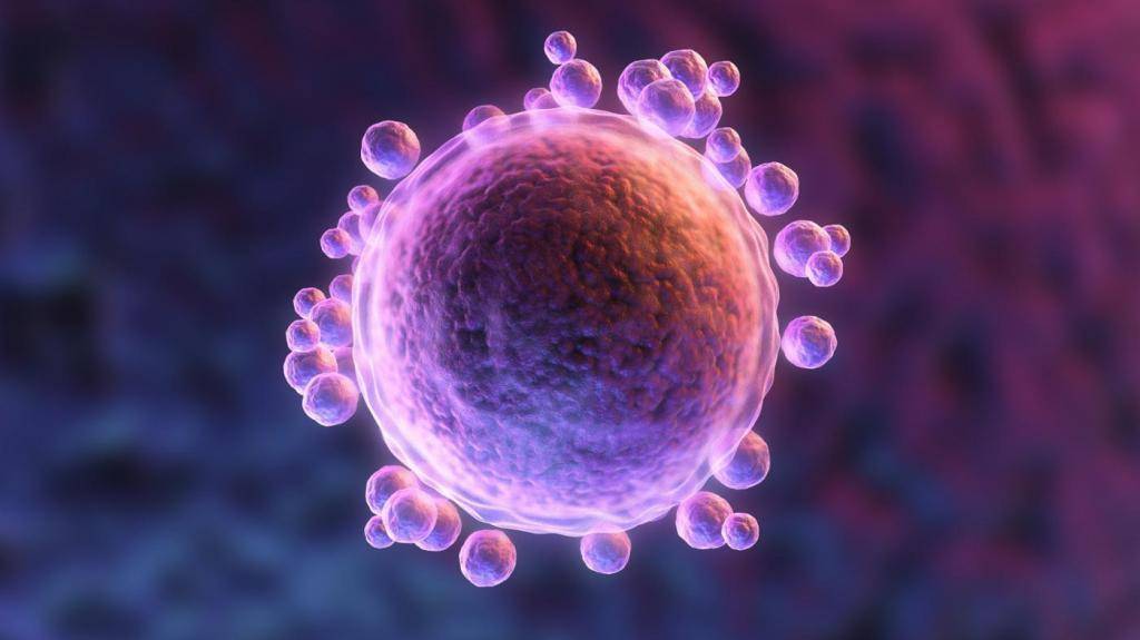 Можно ли забеременеть если нет месячных вообще или длительное время – 2 месяца, полгода?