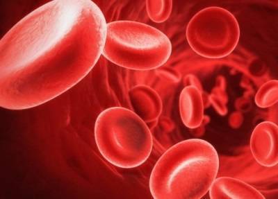 Низкий гемоглобин у ребенка: как повысить показатели до года и старше?