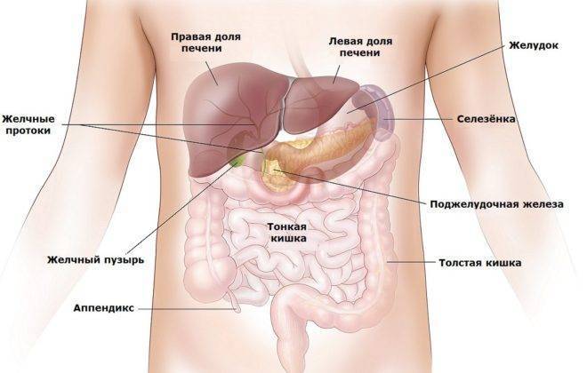 Тромбоцитопеническая пурпура у детей: фото, причины и лечение заболевания