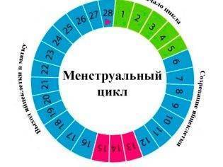 Задержка 10 дней, тест отрицательный: может ли быть беременность, возможны ли другие причины?
